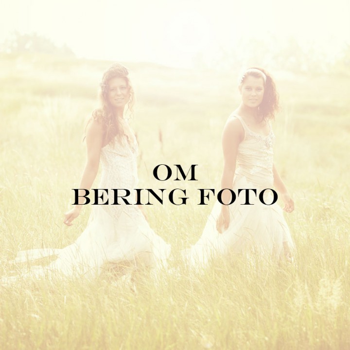Om Bering Foto